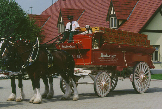 [PHOTO: The Wagon]